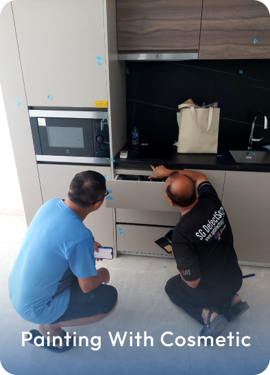 Cosmetic Painting Defects